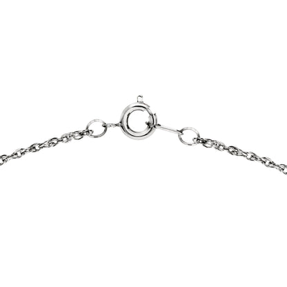 Vintage Queen Elizabeth II 100 Pound Coin Money Pendant Necklace Antique 18k White Gold Silver N785-W